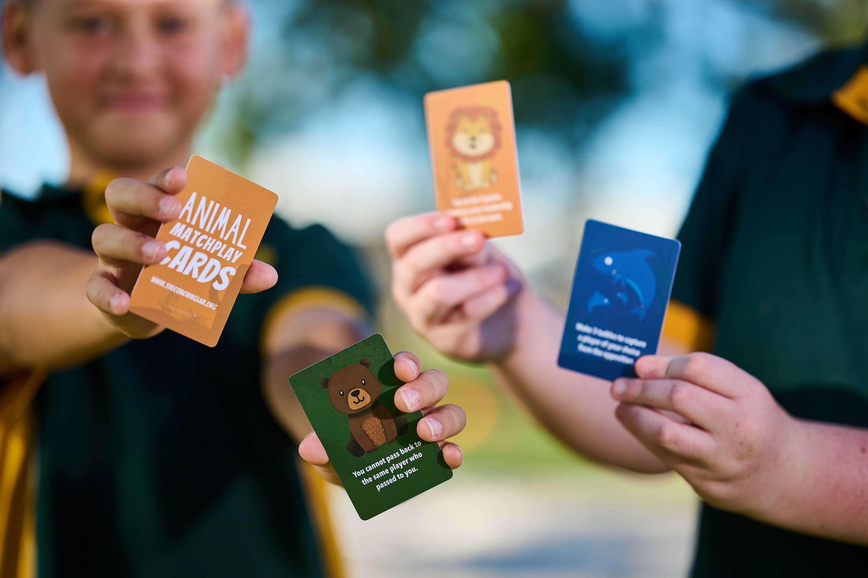 Animal MatchPlay Cards - 10 Deck Bundle