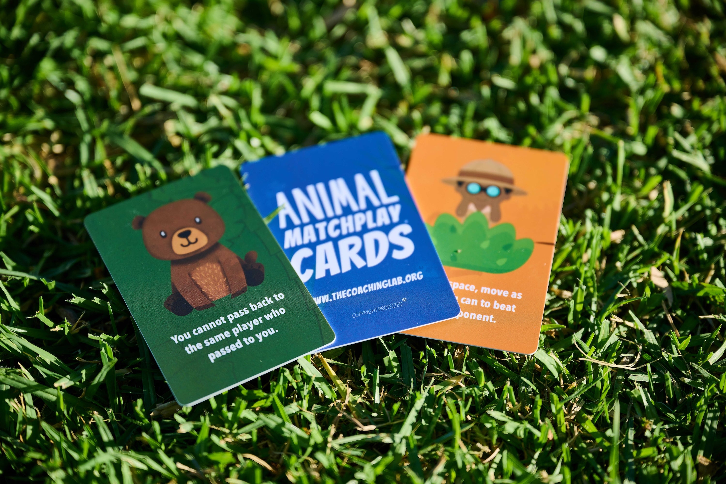 Animal MatchPlay Cards